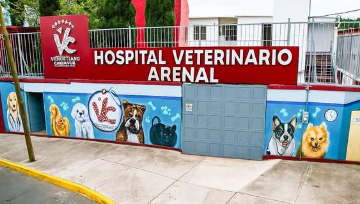 Hospital veterinario Arenal en CDMX