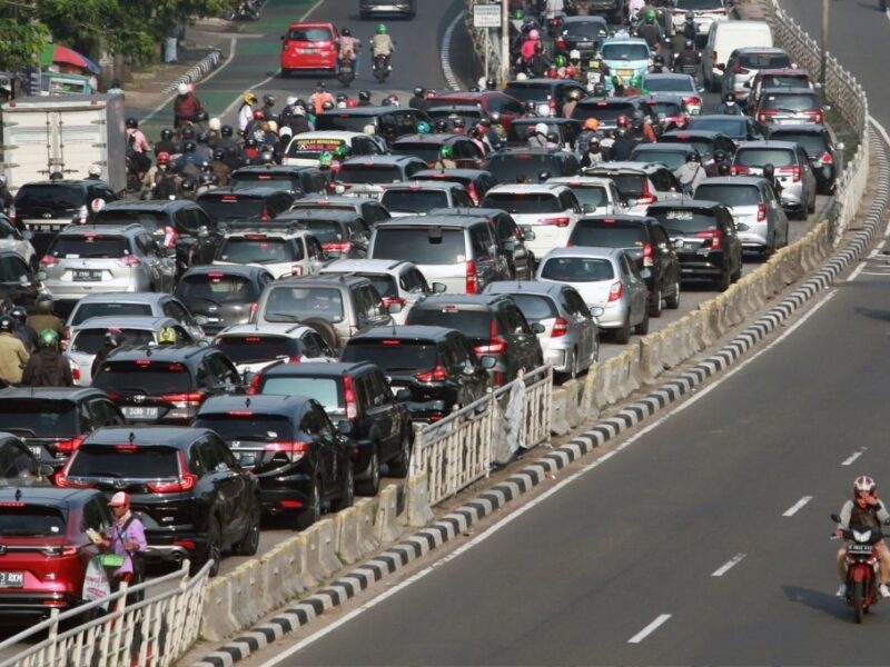hoy no circula 2 de febrero que coches no circulan hoy