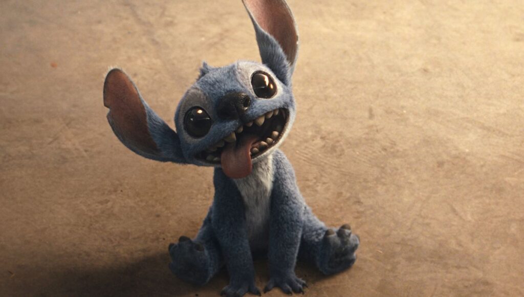 qué animal es Stitch