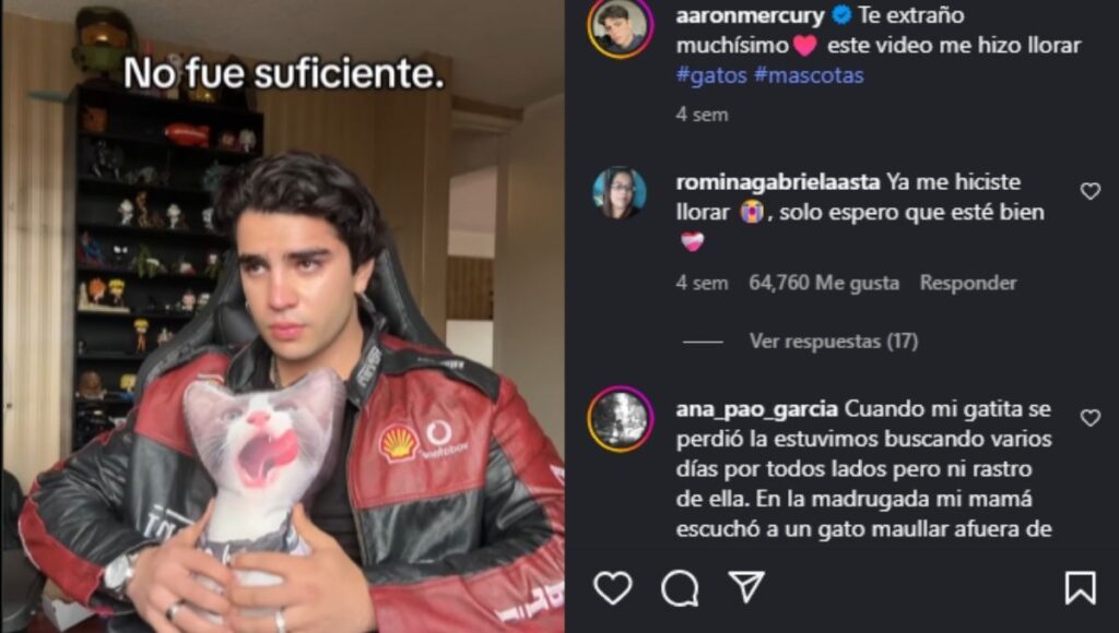 gatos de Aaron Mercury