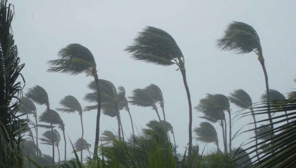 ¿Qué estados afectará la onda tropical 11?