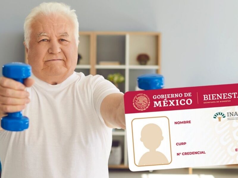INAPAM servicios gratis