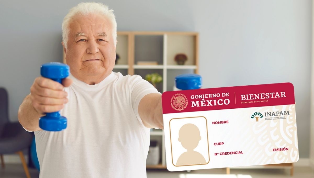 INAPAM servicios gratis