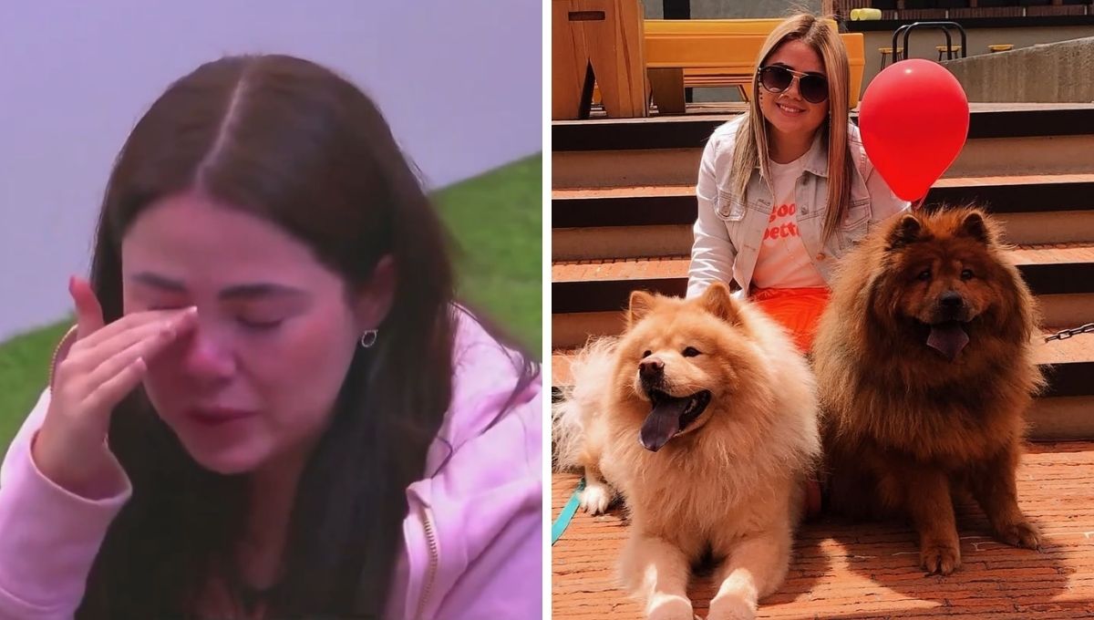 Mariana Botas muerte Bimba perrita