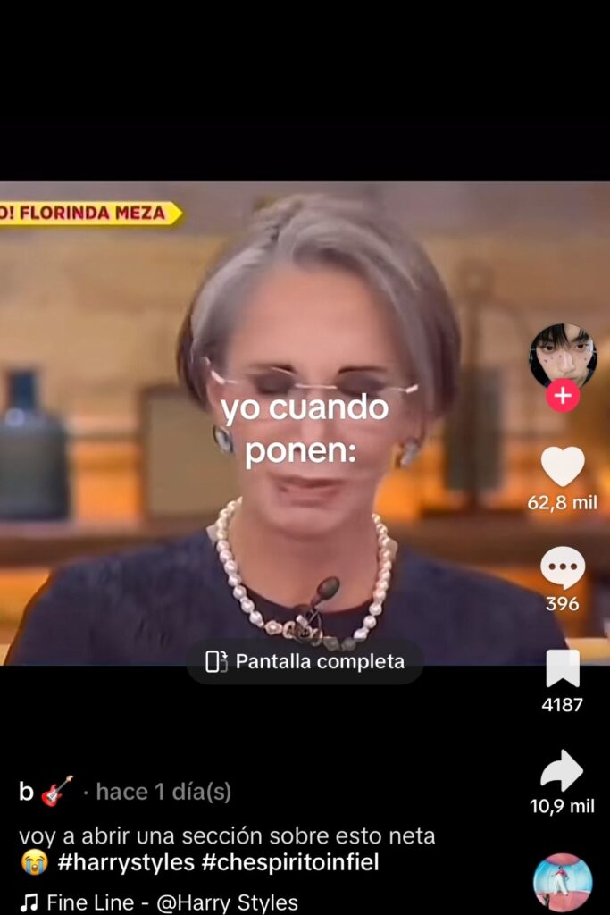 mejores memes de florinda meza