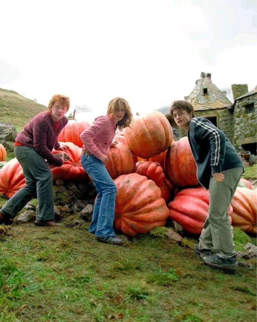 Modo de WhatsApp de Harry Potter.