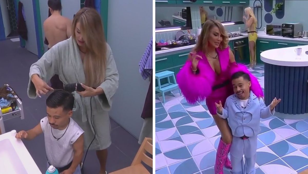 Por qué shippean a Ninel Conde y Abelito