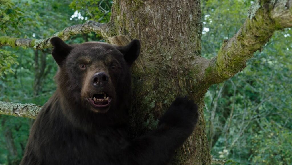 Oso Intoxicado en Netflix.