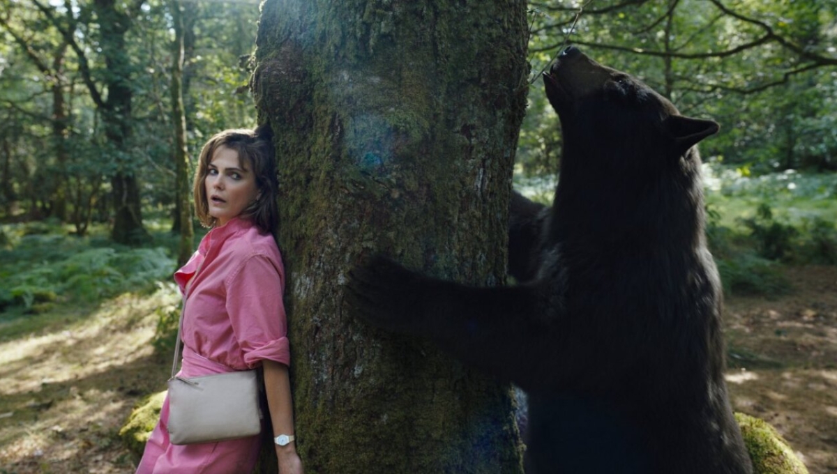 Estreno de 'Oso Intoxicado' en Netflix