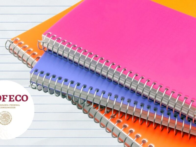 Las mejores marcas de cuadernos para el regreso a clases 2025 según Profeco