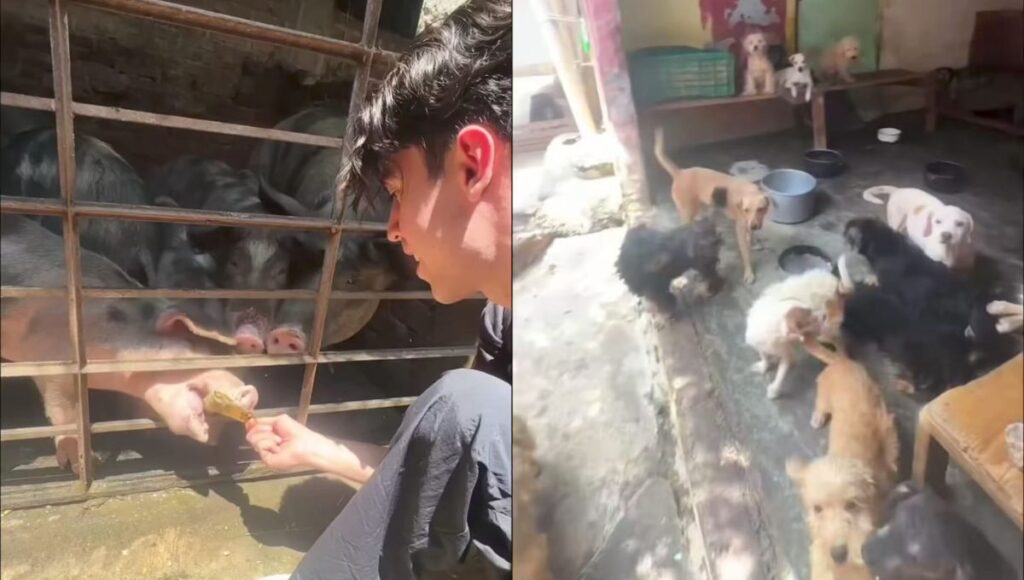 Aarón Mercury cumple promesa de donativo a un albergue de perros en La Casa de los Famosos México