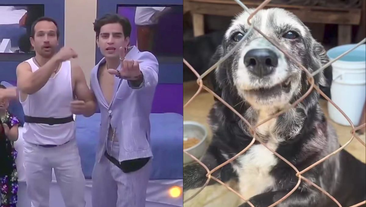 Aarón Mercury cumple promesa de donativo a un albergue de perros en La Casa de los Famosos México