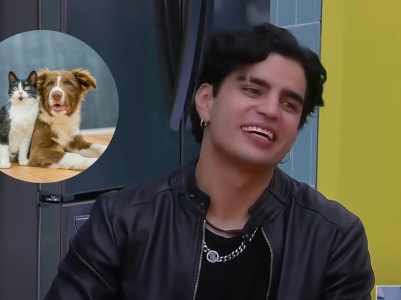 albergue de perritos pide salvar a Aaron Mercury en La Casa de los Famosos México