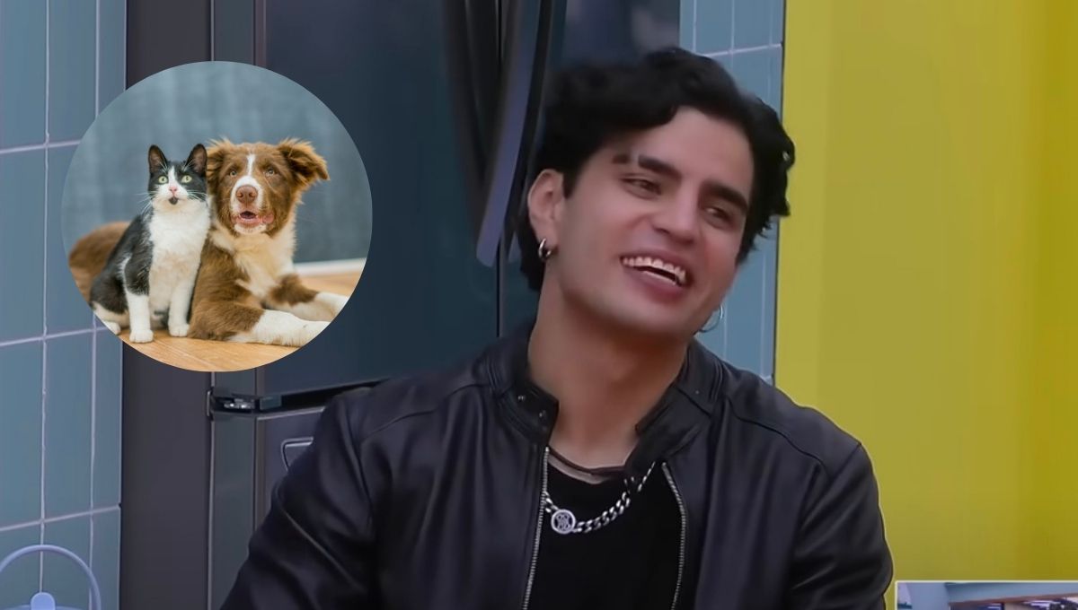 albergue de perritos pide salvar a Aaron Mercury en La Casa de los Famosos México