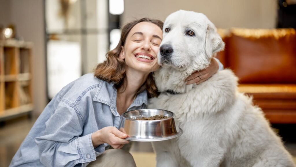 ¿Qué darle de comer a un perro adoptado?