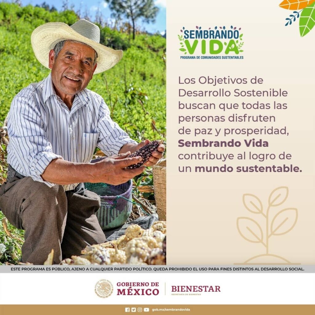 como recibir 6 500 pesos del banco del bienestar