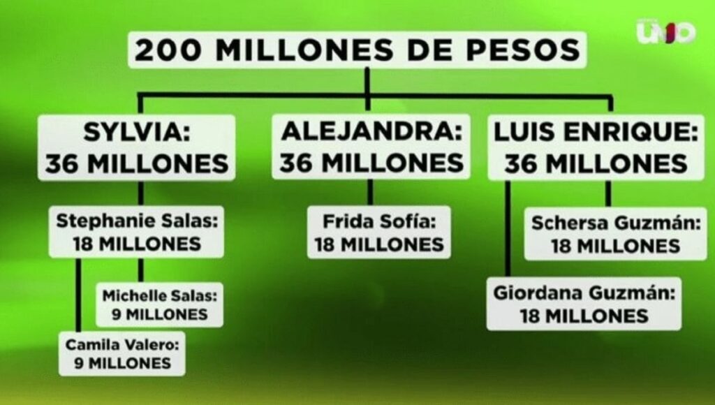 como se repartira la herencia de silvia pinal