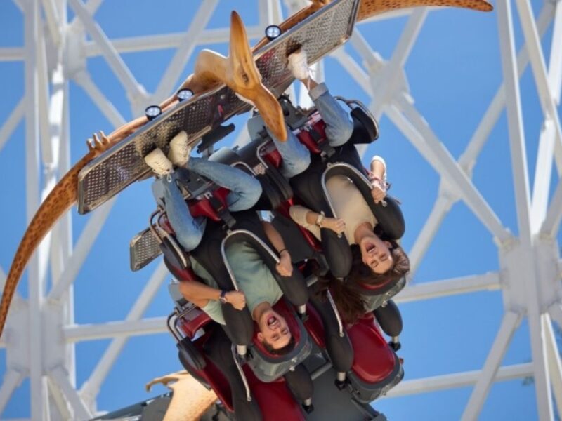 Día Interacional de la Montaña Rusa 16 de agosto