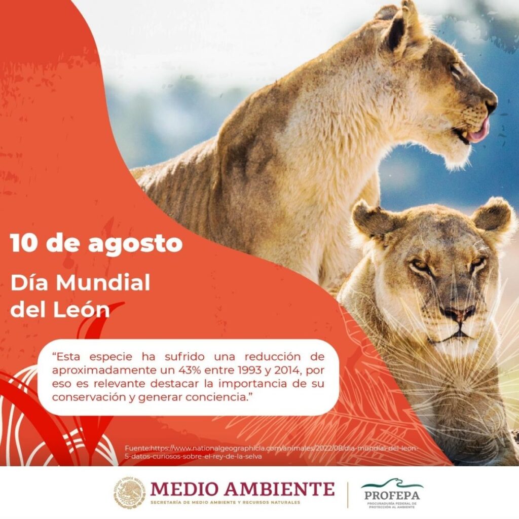 efemerides y celebraciones del 10 de agosto