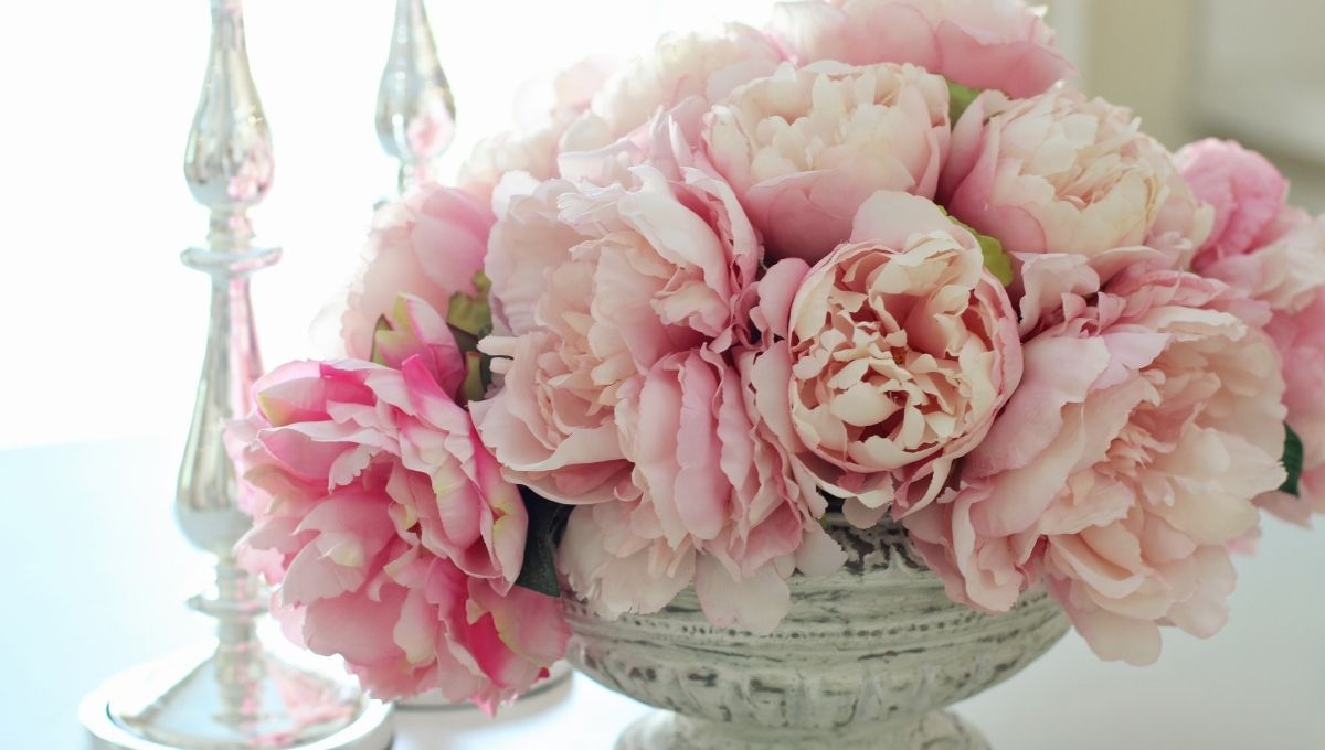 flores para atraer la suerte según el Feng Shui