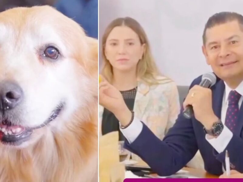 Gobernador de Puebla da cargo oficial a su perro Tommy