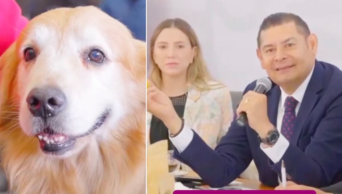 Gobernador de Puebla da cargo oficial a su perro Tommy