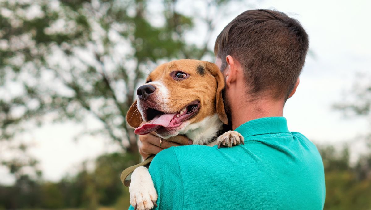 Razas de perro para adoptar por primera vez