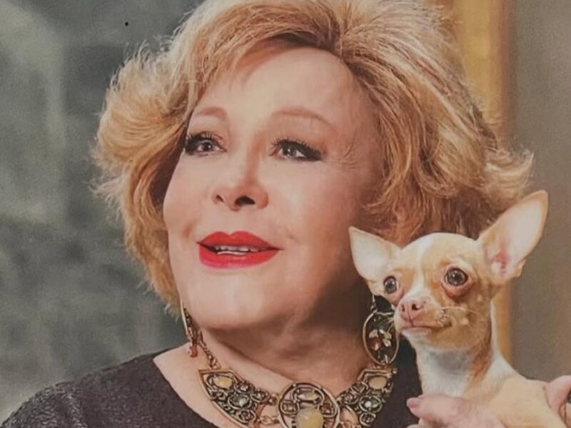 perrita de silvia pinal llora tras ver sus abrigos