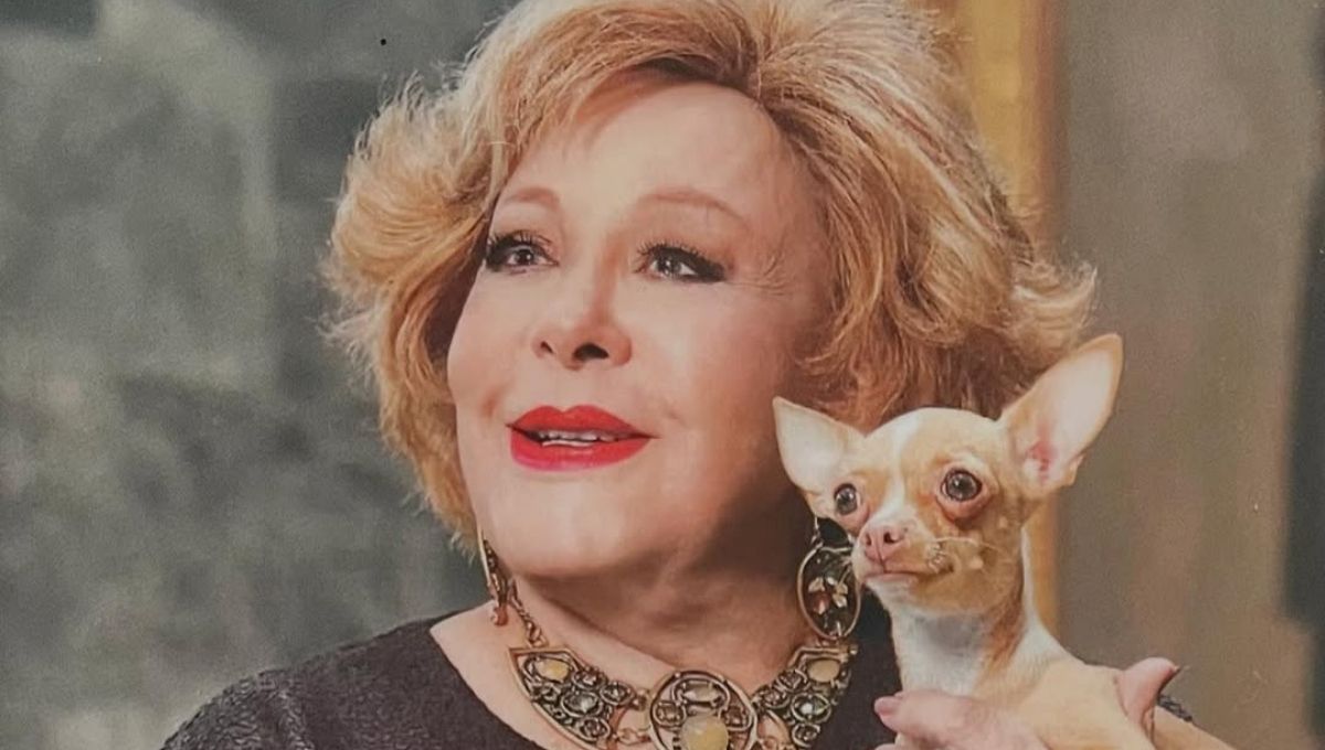 perrita de silvia pinal llora tras ver sus abrigos