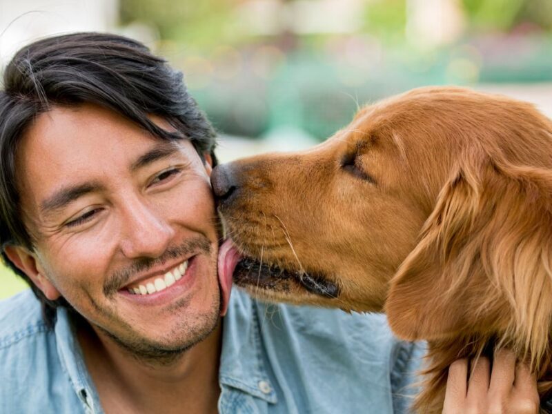 ¿Por qué me lame mi perro?