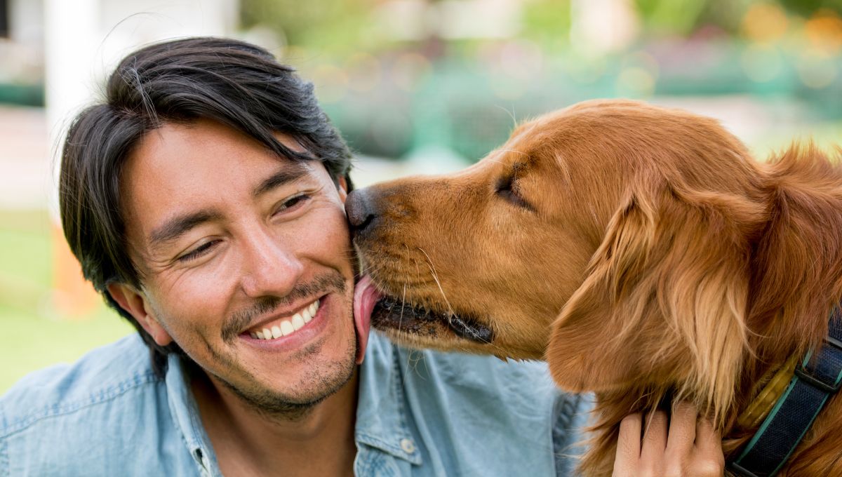 ¿Por qué me lame mi perro?