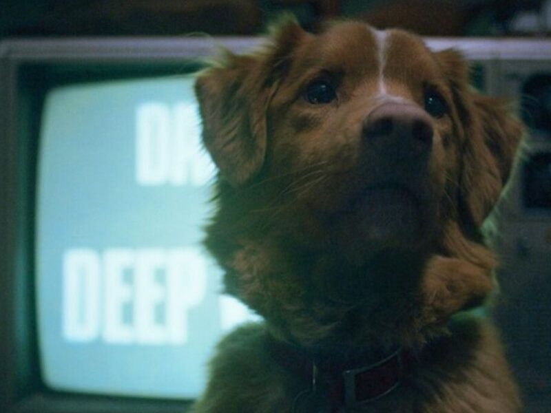 ¿De qué trata la película de terror Good Boy?