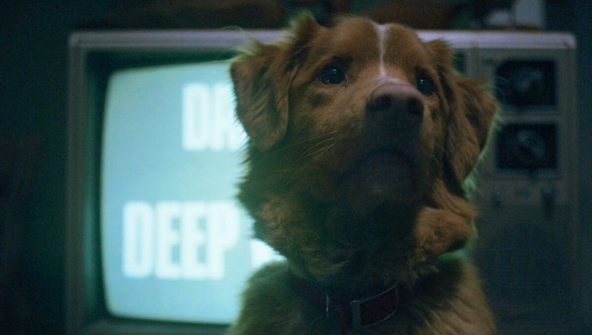 ¿De qué trata la película de terror Good Boy?