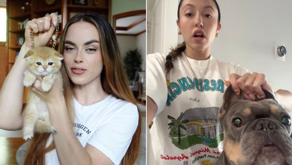 ¿cómo hacer el trend de 24k Gold Labubu?