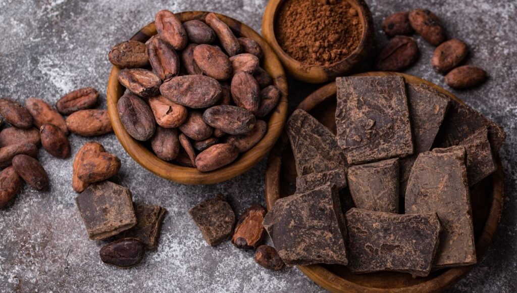 2 de septiembre Día Nacional del Cacao y Chocolate