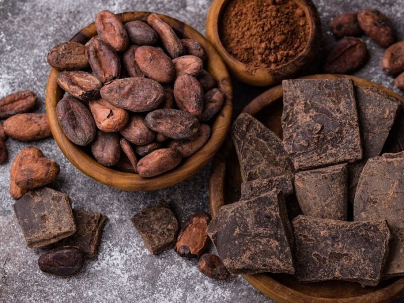 2 de septiembre Día Nacional del Cacao y Chocolate