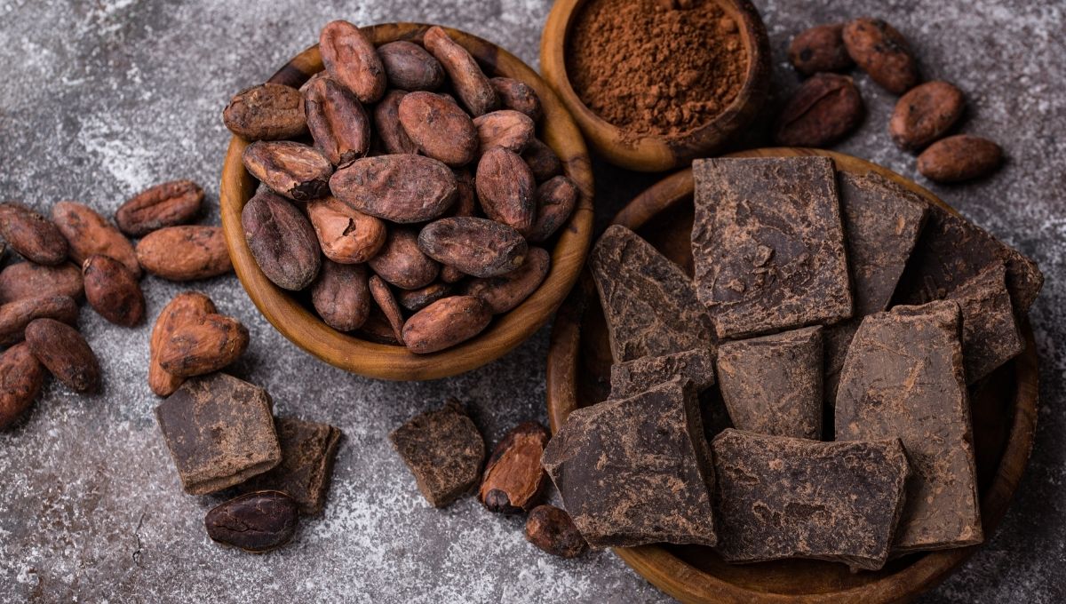 2 de septiembre Día Nacional del Cacao y Chocolate