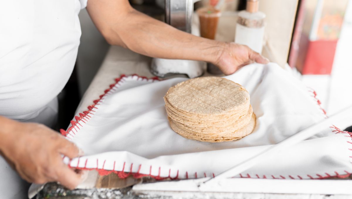 Cuántas tortillas se pueden comer al día según el IMSS
