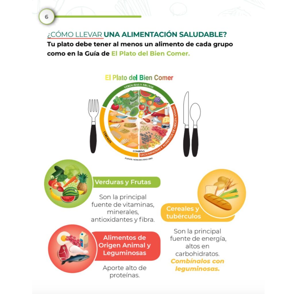 Cuántas tortillas se pueden comer al día según el IMSS