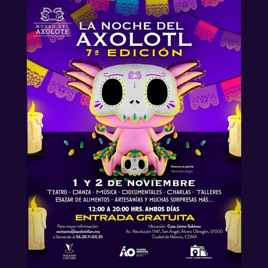 Fechas, horarios y cómo llegar a la Noche del Axolotl 2025 en CDMX