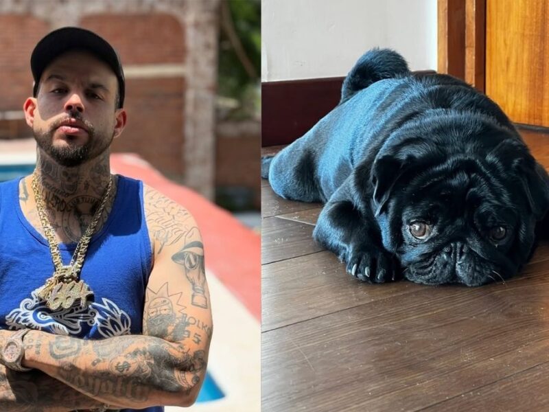 el gordo perro de la familia aguilar se disculpa con emiliano