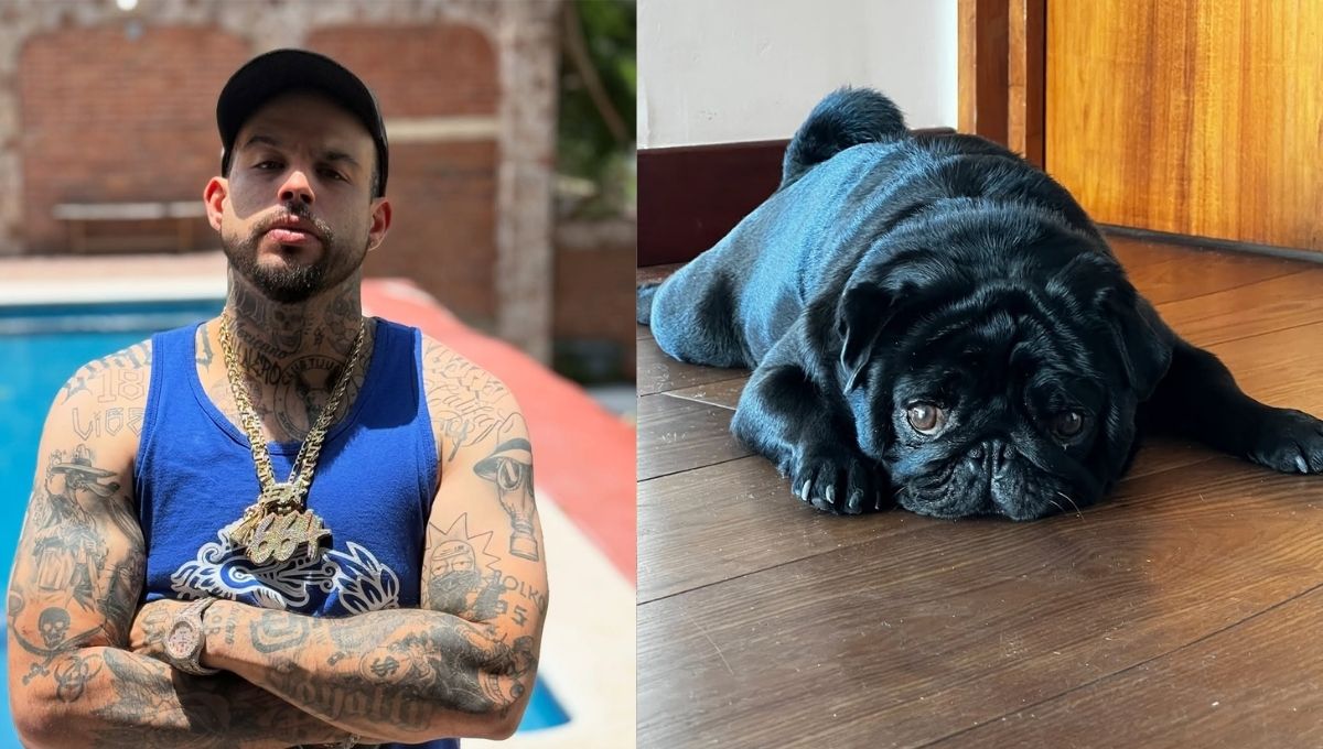 el gordo perro de la familia aguilar se disculpa con emiliano