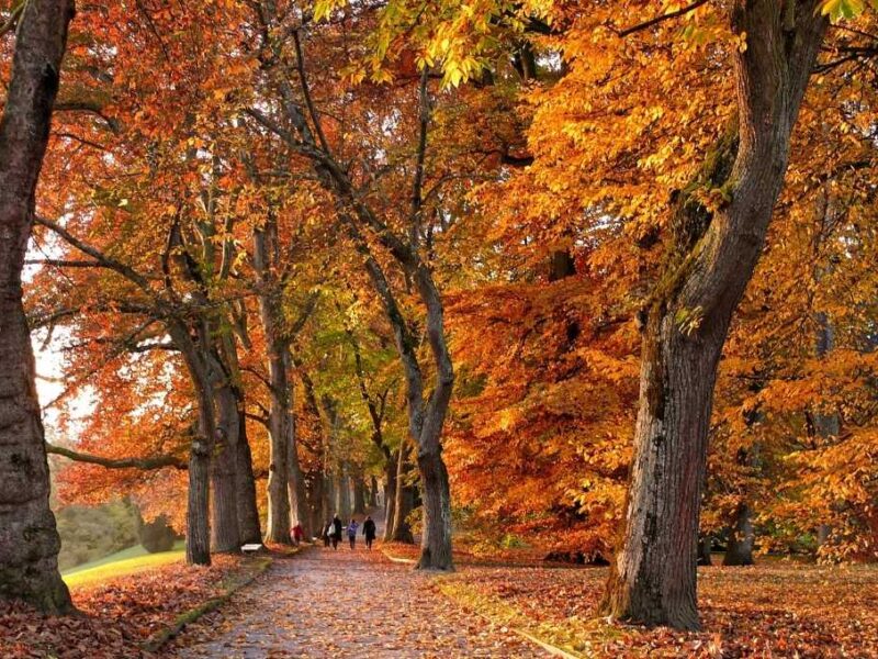 Equinoccio de Otoño 2025