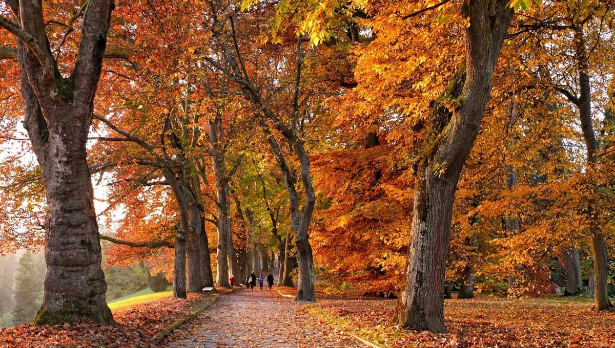 Equinoccio de Otoño 2025