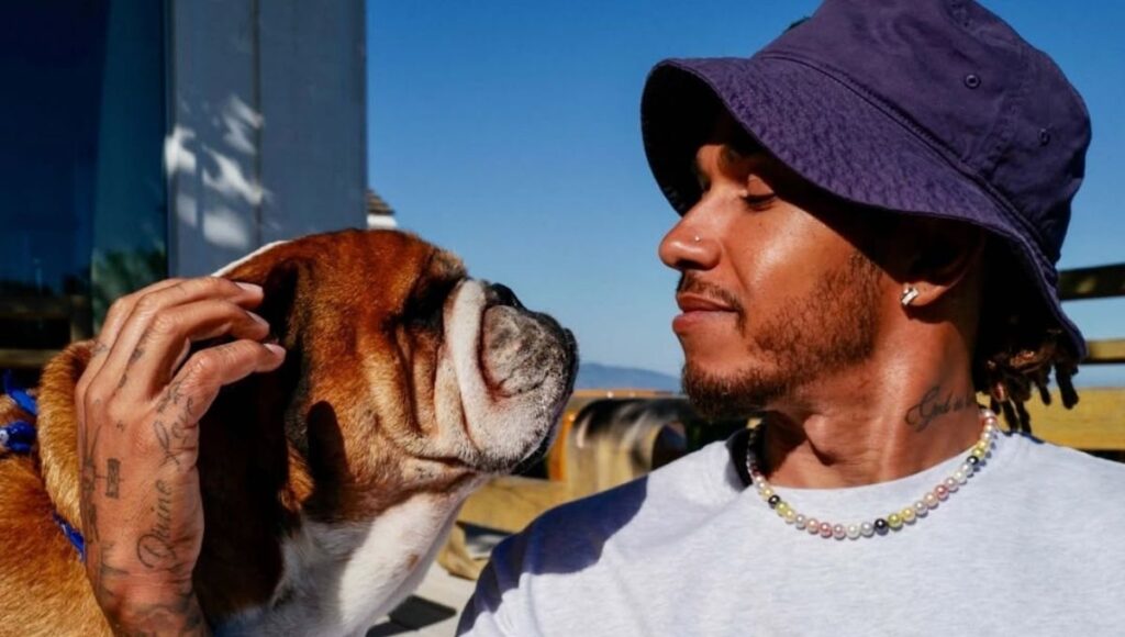 lewis hamilton dice que su perro esta en coma despues de una neumonia