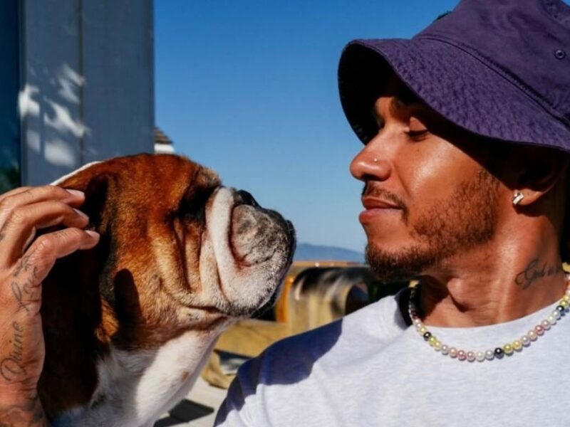 lewis hamilton dice que su perro esta en coma despues de una neumonia