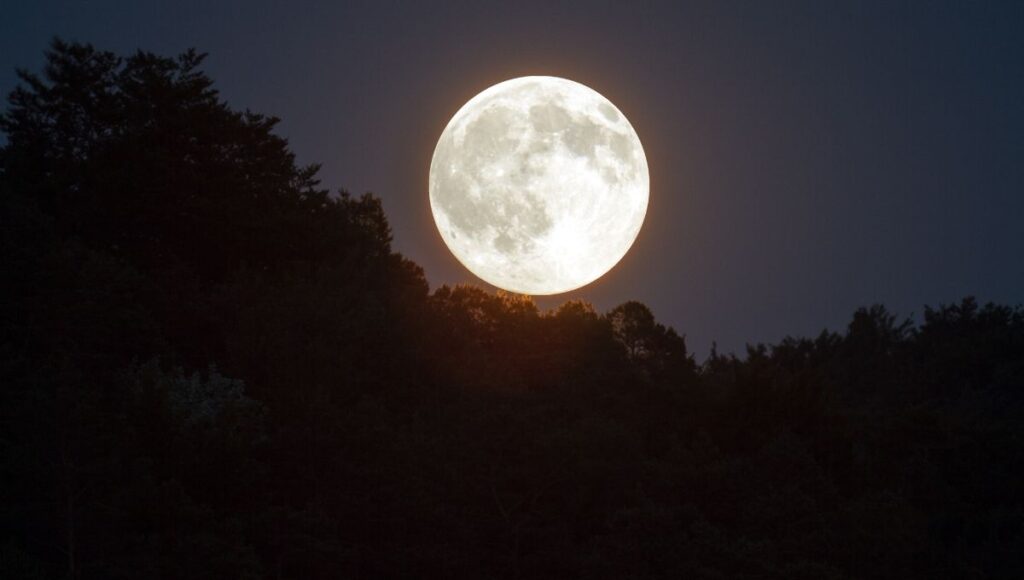 Luna de Maíz cuándo podrá verse en México