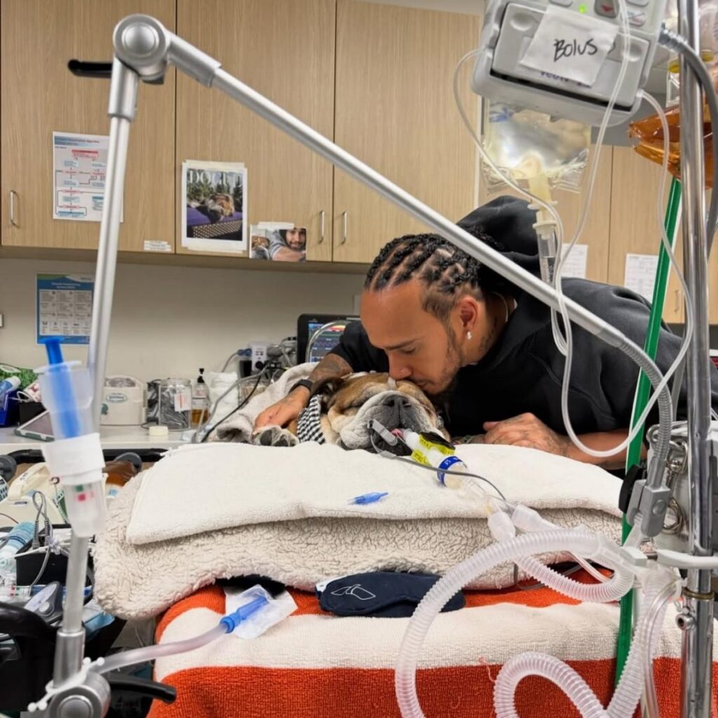 que tiene rocose el perro de lewis hamilton
