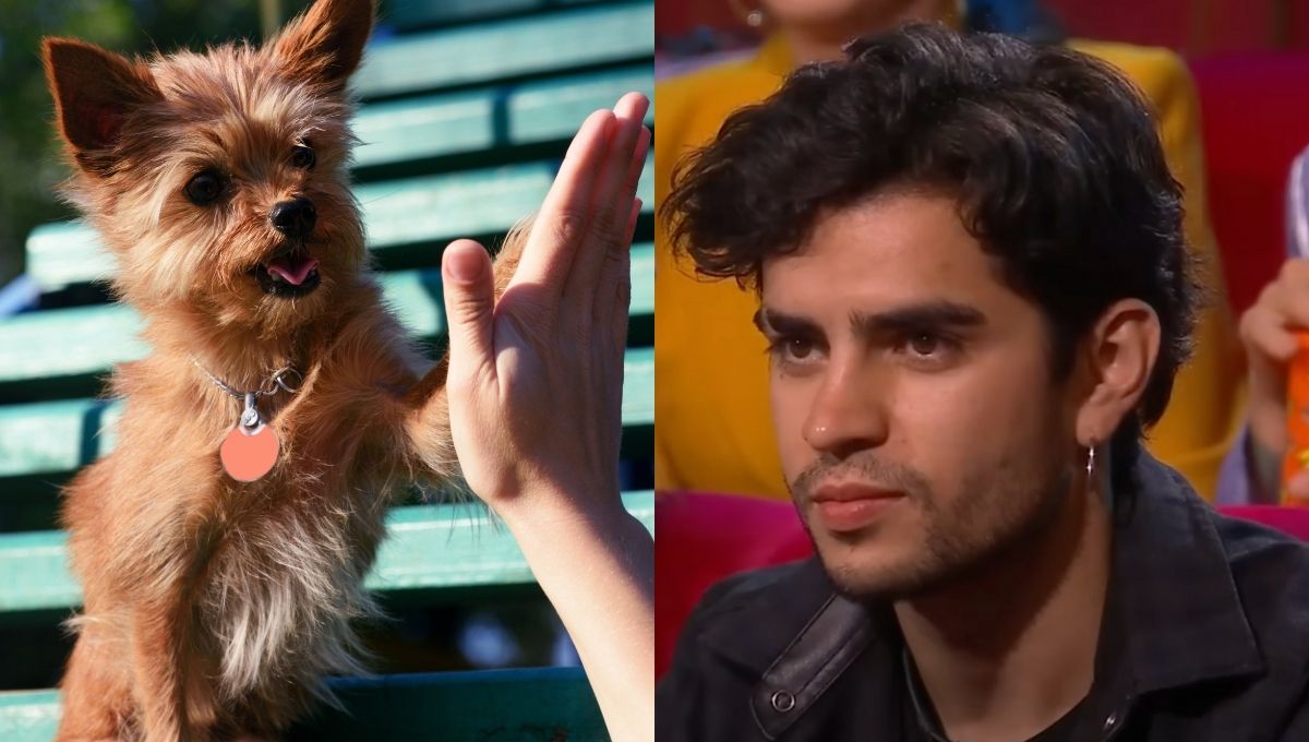 refugio de perros manda regalo de agradecimiento a aaron mercury por su ayuda