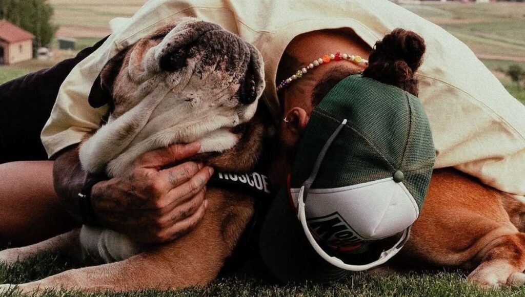 se confirma la muerte de roscoe el perro de lewis hamilton